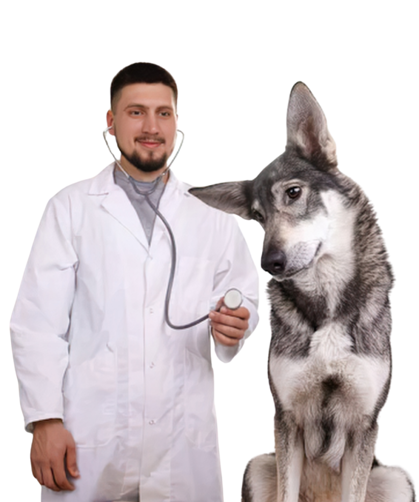 Técnico em Veterinária - CEC Educacional